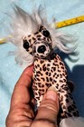 L  k   Fuzzy Nation Chinese Crested Limited Edition  betsy J  Dog Handbag