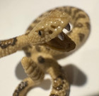 2014 Schleich Rattlesnake Figure Retired 1  Tall X 2 5  Wide 14740