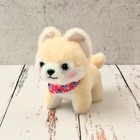 Kawaii Shiba Inu Dog Plush Keychains   Dog Lover Gifts   Amuse Japan   H 3 54 In