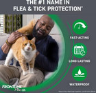 Front Plus Flea And Tick Treatment For Cats Over 1 5 Lbs  6 Treatments new Date 