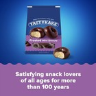 Tastykake Mini Donuts Variety Pack  Lemon  Powdered  Cinnamon  Frosted Flavors 
