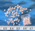   Apple Blossom Shells   100    Pink white   Shellcraft   Sailor s Valentines  
