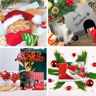 Kitten Christmas Cards Assortment Holiday Greeting Card With Envelopes 24pcs