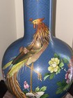 15    Rare Golden Pheasant  Chinese Cloisonn   Vase Perfect