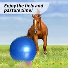 17 Inch Horse Play Ball - Anti-burst Herding For   17-inch  Blue 