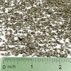 100 American Wrist Watch Screws Elgin Hamilton Illinois Waltham Spare Parts Lot