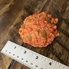 Nasco Nutrition Spanish Rice Food Replica Fake Set Prop