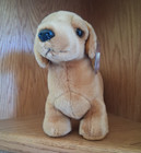 1999 Ty Beanie Buddy  weenie  The Brown Dashcund