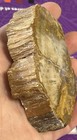 Petrified Wood Slab Polished Stone 