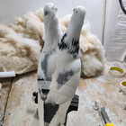 Double Headed Rock Pigeon Taxidermy Oddities Curiosities Livia Dove