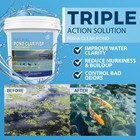 Pond Clarifier Treatment     12 Packets Natural Pond Water Clear For Outdoor La   
