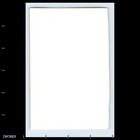 Vintage Photo Man With Glasses Solo Candid Portrait