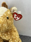 Ty Pluffies Lasso Horse Plush 9  Stuffed Animal With Tag