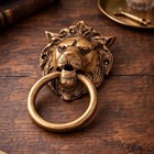 Vintage Brass Lion Face Door Knocker  Gothic Entryway Decor solid Brass Hardware