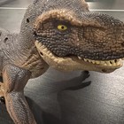 T-rex - Roaring  Light Up  Walking rolling  Animated  Dinosaur  Toy