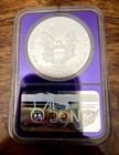 2019-p American Silver Eagle Ase  1 Coin  Ngc Ms69 - Traderbea Purple Core