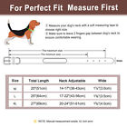 Personalized Leather Dog Collar With Pet Name 3 Adjustable Sizes And Colors 