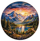 2026  5oz Colorized Avdp  999 Fine Copper Bald Eagle High Relief