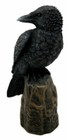 Raven Skull Statue Cold Cast Resin Figurine
