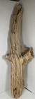 Driftwood Pine Taxidermy Terrarium Beach House Decor Centerpiece