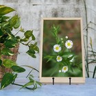 4 Pcs Iron Easel Display Stand Plate Holders For Picture Art Painting Party
