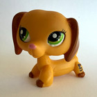 Littlest Pet Shop Lps  2597 Orange Brown Dachshund Dog Green Eyes Rare