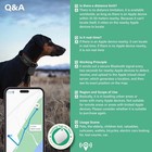 Gworld I Tag Dog Collar No Monthly Rent Gps Trackers For Dogs  only Orange 