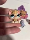 Hasbro Littlest Pet Shop 5 Guinea Pig Dachshund  Baby Husky 2 Cats Sofa