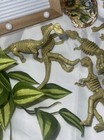 Dinosaur Figures Lot Fossil Skeleton Realistic 7 Pcs Set Toys Kids 3 Inch