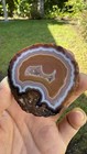 Polished Chinese Fighting Blood Agate
