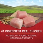 Purina One Chicken And Rice Formula Dry Dog Food - 16 5 Pound  pack Of 1  