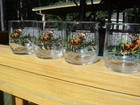 4 Vintage Sunoco North American Wildlife Glass Libbey North American Moose - New