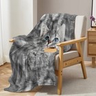 Grey Cat Flannel Velvet Blanket Super Soft Throw Blanket For Sofa Bed 60 x80  