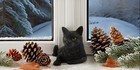 3 Inch Black Cat Poseing Hand Painted Mini Figurine Statue Sculpture