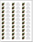150 Vibrant Gecko Lizard Mailing Return Address Labels Personalized