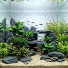 Yiszm 5-7  Polished Slate Rock  10 Lbs - Aquarium   Terrarium Decor