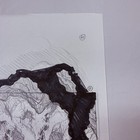 1997 Starship Troopers Original Hand Drawn Production Art Storyboard Concept Coa