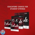 D addario Prelude Violin String Set  4 4 Scale  Light Tension