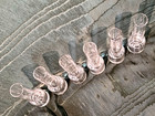 6 Vodka Tequila Test Tube Shooters Glass Shot Glasses Tasting Set Unique