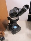 Vintage Wolfe Binocular Stereo Microscope With Wooden Case And Eyepieces