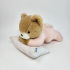 Vintage Eden Baby Teddy Bear On Pillow Wind Up Musical Stuffed Animal Plush Toy