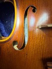 West Coast los Angeles Strings Thomas Kraft Violin  e1170 2010 