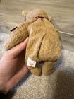 Ty Beanie Babies Curly The Bear Plush Toy - 4052