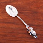 Canadian Sterling Silver   Enamel Souvenir Spoon Native American   Banff  
