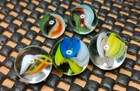  50 - 39  Peewee Cateye Marbles Lot- Htf Sizes -multicolors- Mint  Mint-