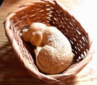 Puppy Dog Figure In A Basket  Sleeping Yellow Labrador