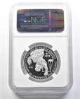 2010-w  100 American Platinum Eagle 1 Oz Platinum Pf70 Ucam Ngc
