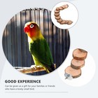 Parrot Wooden Ladder Toy Bird Cage Perch Stand Hamster Platform For Small Pets