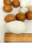 Lot 10 Blown Red Green Eggs Chicken White Goose Eggs