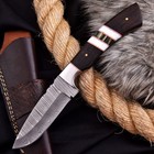 Shard   custom Hand Forged Skinner Knife     Damascus Full Tang Fixed Blade W sheath